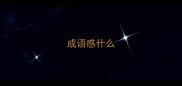 成语感什么