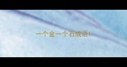 一个金一个石成语