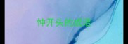 忡开头的成语