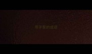 带字泵的成语