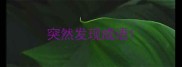 突然发现成语