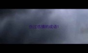 伤过感情的成语