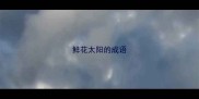 鲜花太阳的成语
