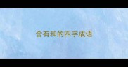 含有和的四字成语