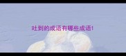 吐到的成语有哪些成语