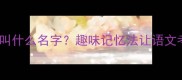 10个必学成语你叫什么名字趣味记忆法让语文考试轻松拿满分