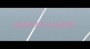 成语有先开头的成语