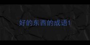 好的东西的成语