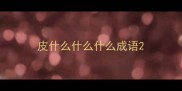 皮什么什么什么成语