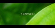 子的四字成语