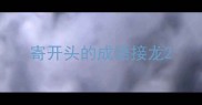 寄开头的成语接龙