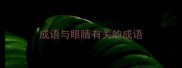 成语与眼睛有关的成语