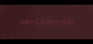 泪眼什么成语四字成语