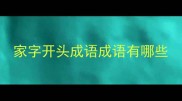 家字开头成语成语有哪些