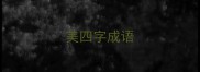 美四字成语