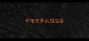 怀字在开头的成语