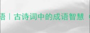 琵琶行经典成语古诗词中的成语智慧附实用用法