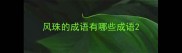 风珠的成语有哪些成语