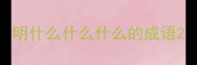 明什么什么什么的成语
