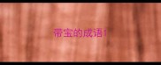 带宝的成语