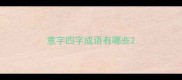 意字四字成语有哪些
