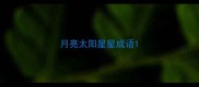 月亮太阳星星成语