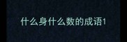 什么身什么数的成语