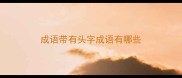 成语带有头字成语有哪些