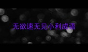 无欲速无见小利成语