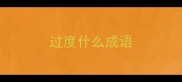 过度什么成语