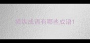 横纵成语有哪些成语