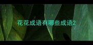 花花成语有哪些成语