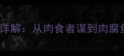 肉类相关成语100例详解从肉食者谋到肉腐鱼烂的成语文化解码