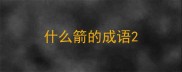 什么箭的成语