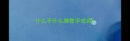 什么手什么脚数字成语