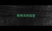 鹊有关的成语