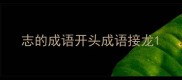 志的成语开头成语接龙