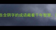 阴柔美学的成语指南这些含阴字的成语藏着千年智慧适合起名运用的宝藏清单