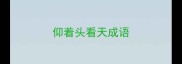 仰着头看天成语