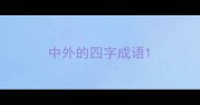中外的四字成语