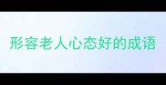 形容老人心态好的成语