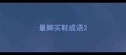 量脚买鞋成语