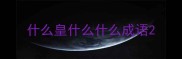 什么皇什么什么成语