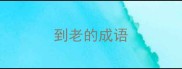 到老的成语