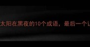 冷门但惊艳太阳在黑夜的10个成语最后一个让人拍案叫绝