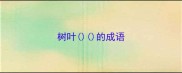 树叶的成语