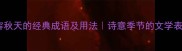 50个形容秋天的经典成语及用法诗意季节的文学表达指南