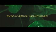 带如字的100个成语及详细附记忆技巧与常见误区