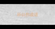 所以的成语