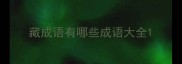 藏成语有哪些成语大全